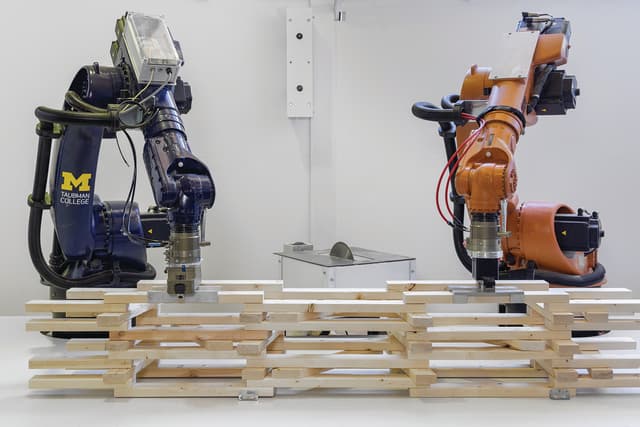 Co-Robotic Assembly of Nonstandard Timber Structures